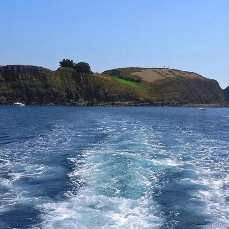 Lejlighed Gernika Suite